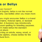 Bellies or Bellys